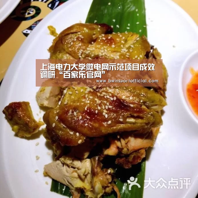 上海电力大学微电网示范项目成效调研“百家乐官网”(图2) 澳门百家乐网站