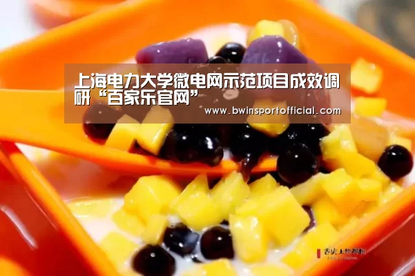上海电力大学微电网示范项目成效调研“百家乐官网”(图3) 百家乐官网