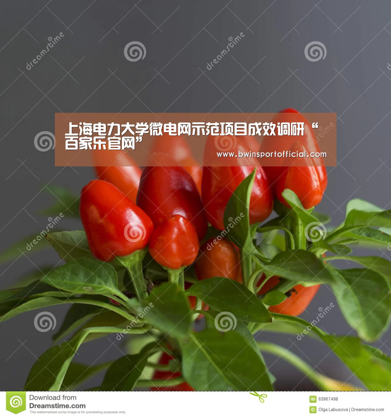 上海电力大学微电网示范项目成效调研“百家乐官网”(图1) 百家乐官网