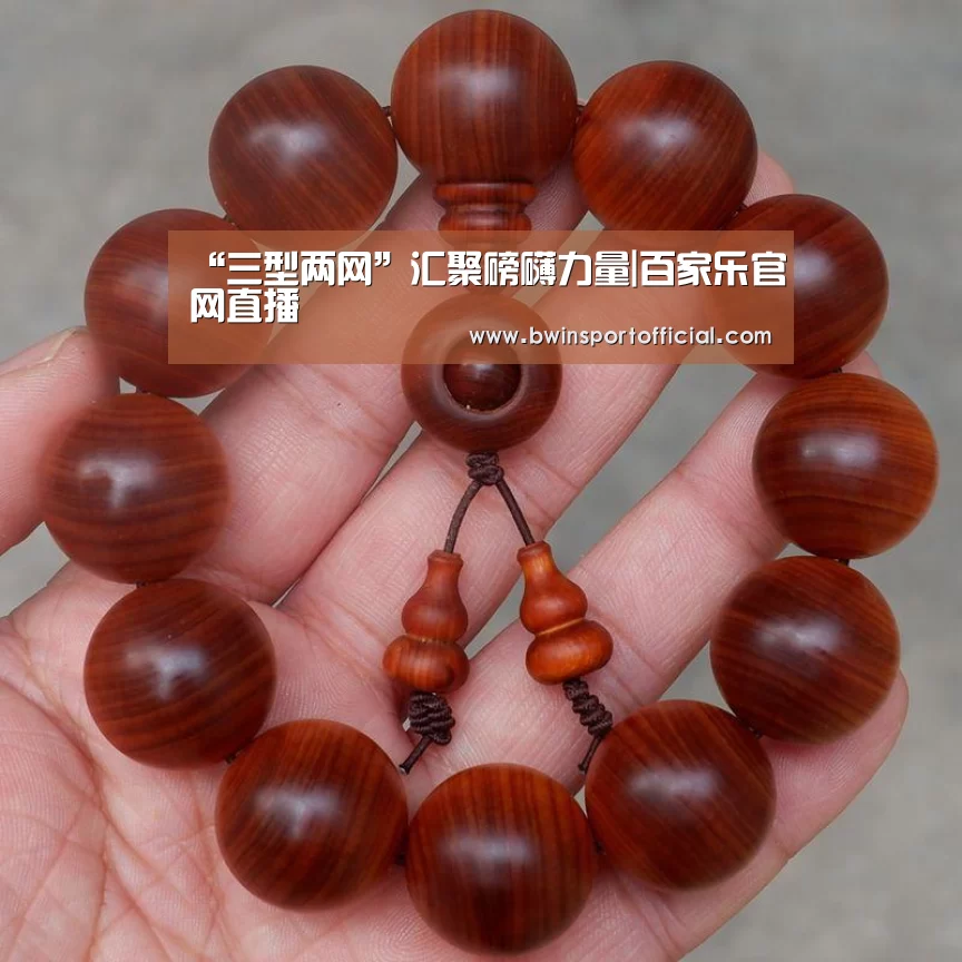 “三型两网”汇聚磅礴力量|百家乐官网直播(图2) 澳门百家乐网站
