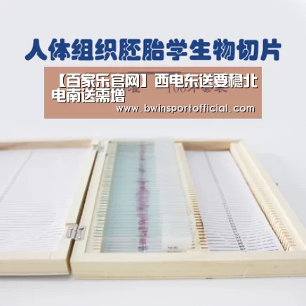 【百家乐官网】西电东送要稳北电南送需增(图2) 百家乐官网直播