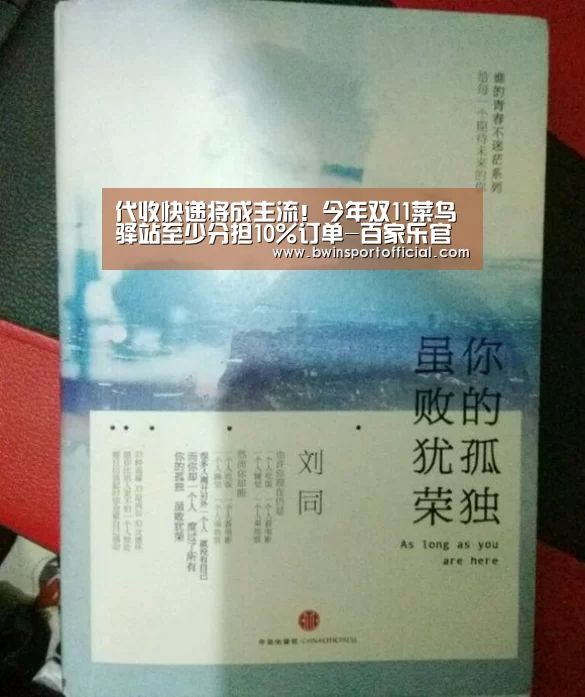 代收快递将成主流!今年双11菜鸟驿站至少分担10%订单-百家乐官网直播(图2) 百家乐官网