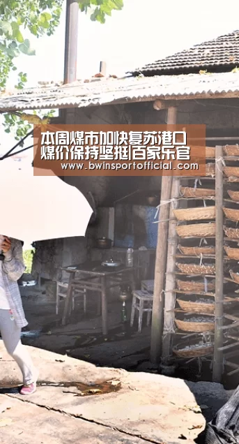 本周煤市加快复苏港口煤价保持坚挺|百家乐官网(图1) 百家乐官网直播