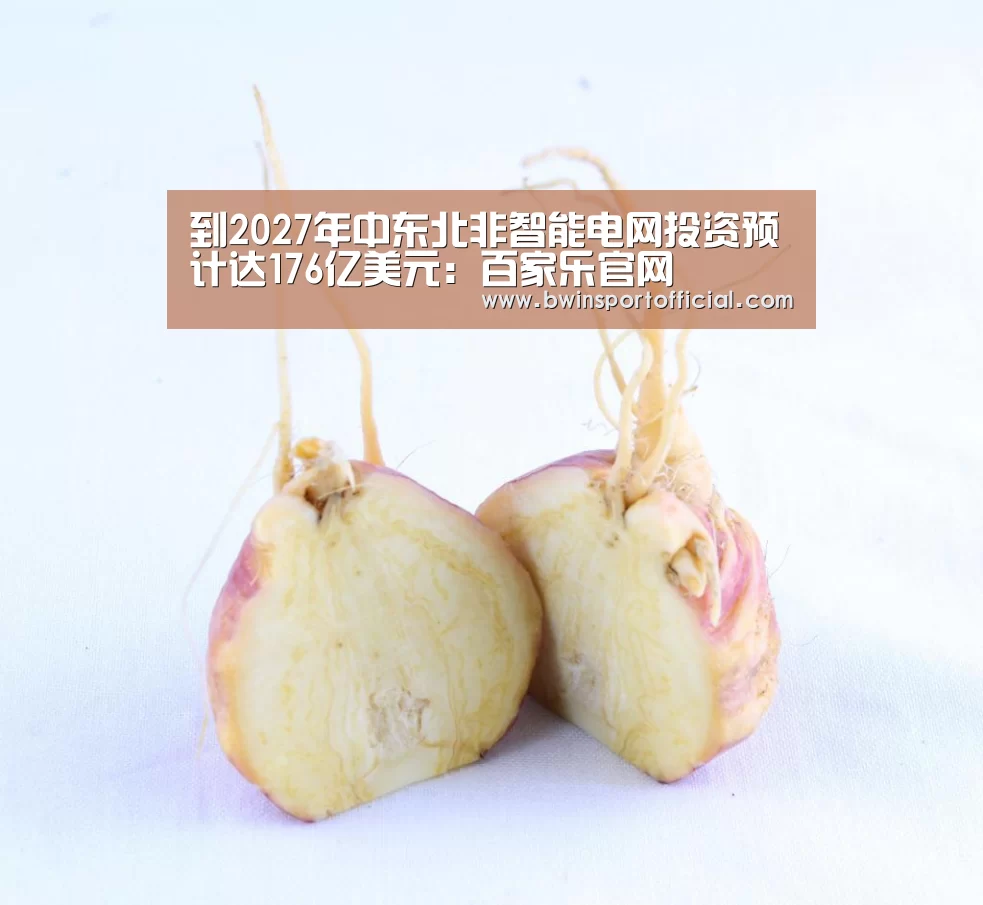 到2027年中东北非智能电网投资预计达176亿美元:百家乐官网(图4) 百家乐官网