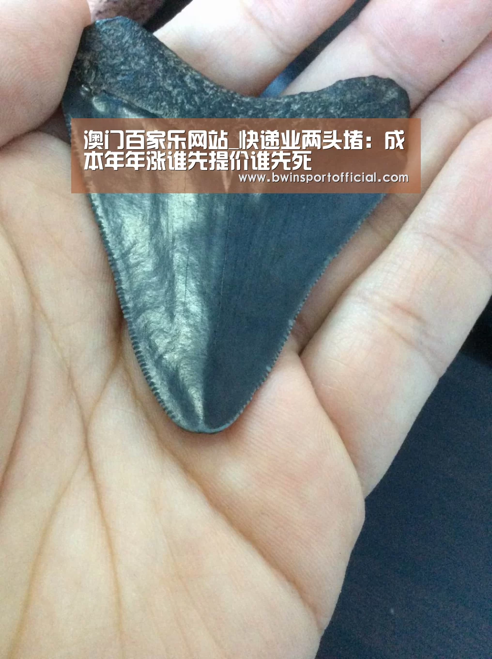 澳门百家乐网站_快递业两头堵:成本年年涨谁先提价谁先死(图3) 百家乐官网直播