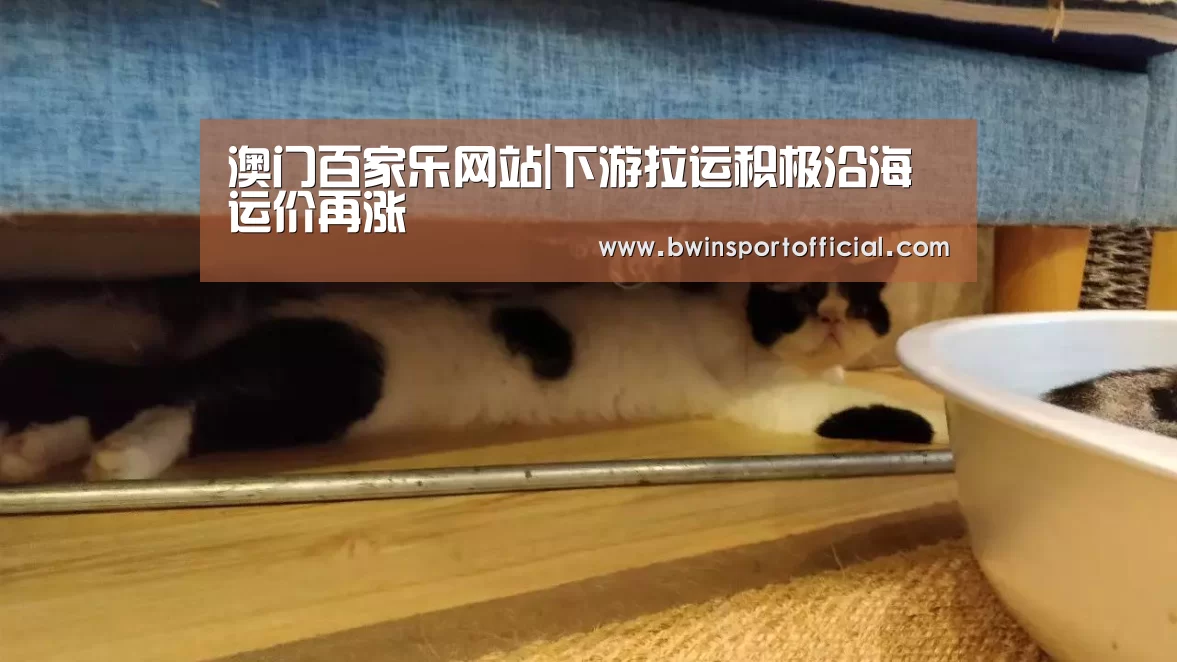 澳门百家乐网站|下游拉运积极沿海运价再涨(图1) 澳门百家乐网站
