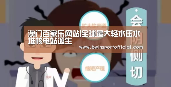 澳门百家乐网站|全球最大轻水压水堆核电站诞生(图3) 百家乐官网